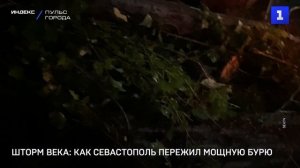 Шторм века: как Севастополь пережил мощнейшую бурю