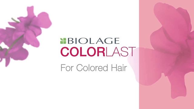 Matrix Biolage Core - Telugu смотреть онлайн