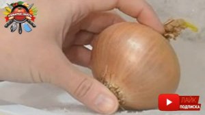 Как правильно резать лук: 5 простых секретов!