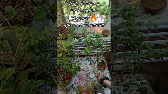 Как сделать и предложить Кришне простые фитильки. Фитильки с маслом гхи для арати. смотреть онлайн