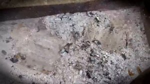 Как заставить помидоры краснеть или как убрать зелёные плечики у помидоров