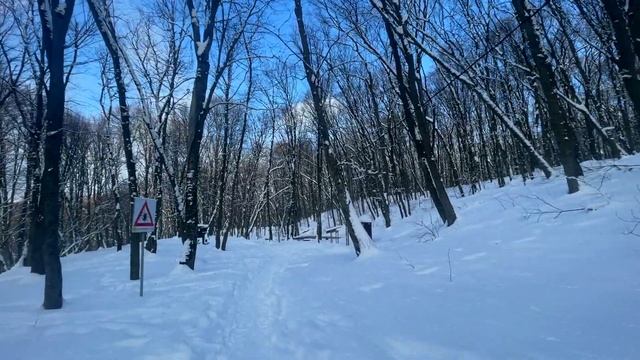 Прогулка по Ставрополю | День чудесный на Холодных родниках смотреть онлайн