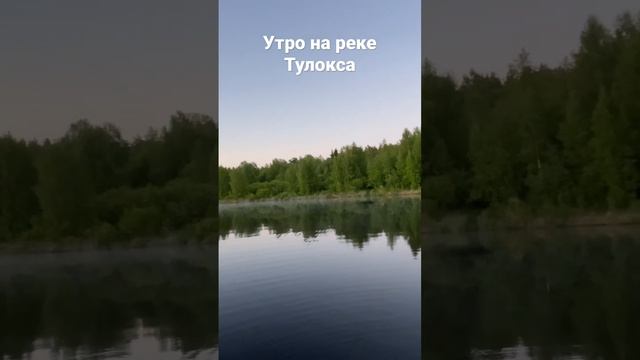 Река Тулокса, Олонецкий район, р. Карелия. Июнь 2021 г.