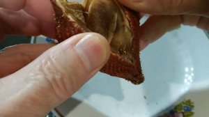 Экзо-фрукты.Салак.Exo-Fruits.Salak