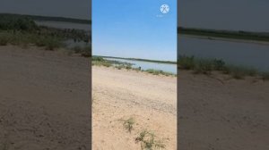 Рыбалка в Джизакской области