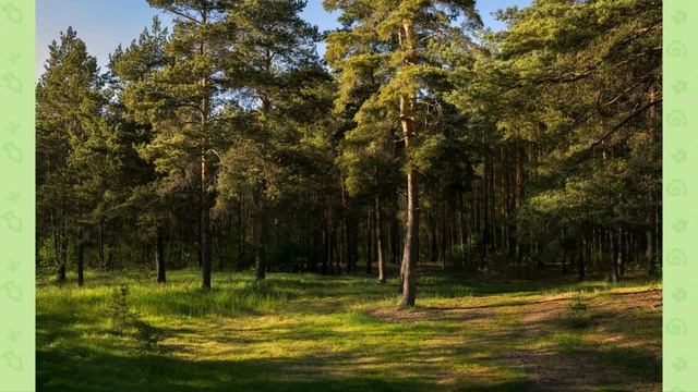 поэтический час признание О малой родине смотреть онлайн