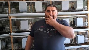 Круговорот кроликов в гараже