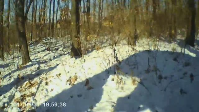 Кароче говоря ...... первое катание на снегакате смотреть онлайн