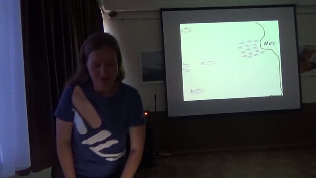 "Косатки Авачинского залива". Татьяна Ивкович смотреть онлайн