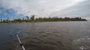 Рыбалка на Волге, база отдыха Ступино