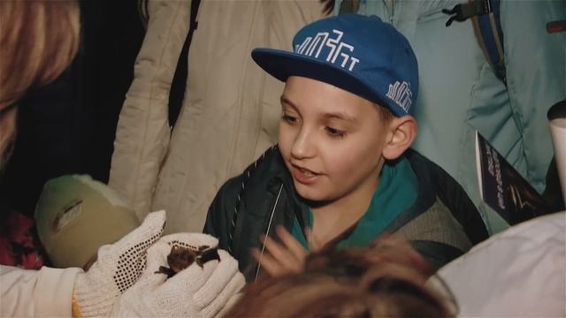 Большой полет: в экопарке выпустили на волю летучих мышей и фазанов смотреть онлайн