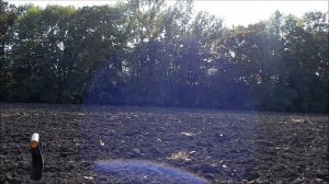 Коп по СКИФАМ Фортуна М3,Фишер75,ХР Деус!!!