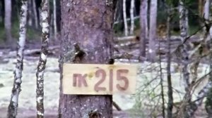 1977 год. Ханты-Мансийский округ. Строительство дороги к месторождению