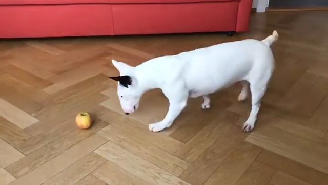 Команда « Можно» смотреть онлайн