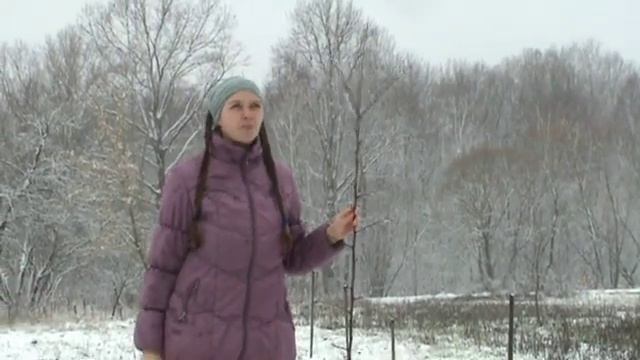 Мини экскурсия по Родовому Поместью. 24 марта - продолжаем зимовать! ПРП Емельяновка.