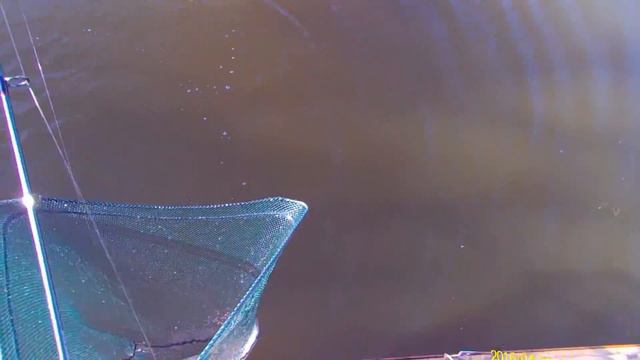 Moscow region. Trout Fishing. The club "Royal Fish". смотреть онлайн