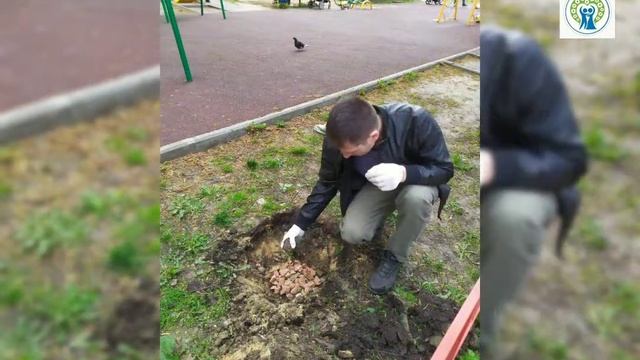 Встреча семейного клуба "Сближение". Семейный волонтерский проект. Проект "Сближение".
