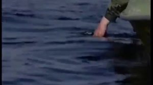 Диалоги о рыбалке. Весенняя щука на Волге