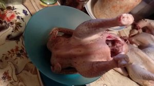 Мясо-яичные куры " Ленинградская ситцевая"