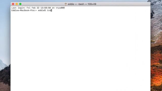 Running a Traceroute on Mac Networking Tools