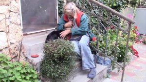 КАЛЛИЗИЯ МЕЛКОЛИСТНАЯ  УПЛОТНЕНИЕ!