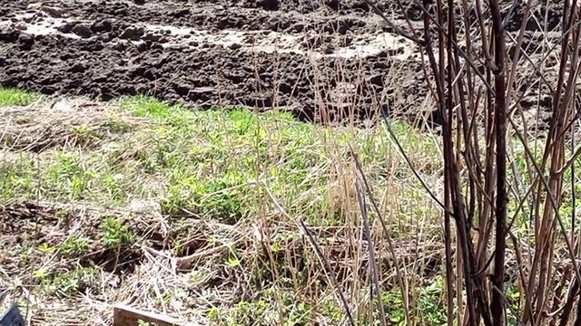 в работе у дома/веранда/горбыль смотреть онлайн