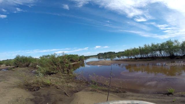 Туманное утро. Ловля крупных большеротов. Получаю люлей от пчёл. смотреть онлайн
