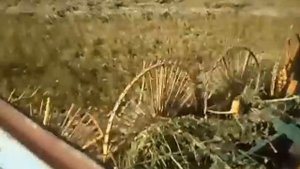 Грабли  ГВК-6 в работе
