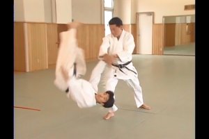 Aikido Yoshinkan. The complete set of techniques. Jiu waza