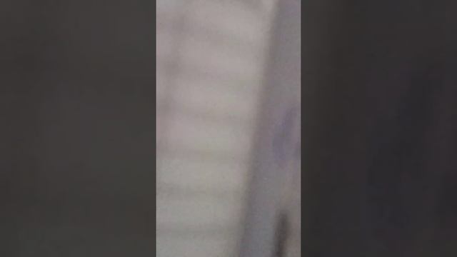 Мой дневник с оценками 4 класс смотреть онлайн