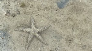 Море ушло на Пхукете. Невероятный отлив в Тайланде.