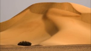 ZAKIR HUSSAIN - Music of the Deserts - NOMADS