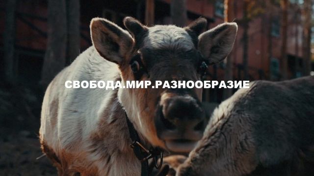 Этнопарк Географика