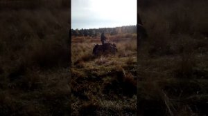 самодельный квадроцикл,первый выезд