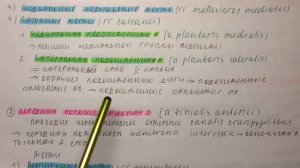 Билет 083. АРТЕРИИ ГОЛЕНИ И СТОПЫ, ТОПОГРАФИЯ, ОБЛАСТИ КРОВОСНАБЖЕНИЯ.