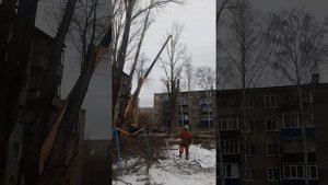 спил дерева краном