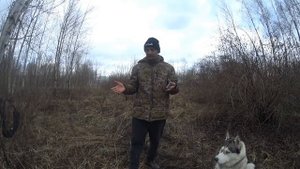 Обзор Контроль АС(Средство от агрессии и нападений животных)