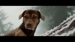 Путь домой/ A Dog's Way Home (2019) Дублированный трейлер