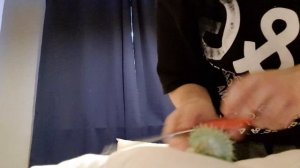 Eating Datura Seeds on video