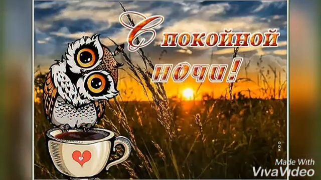 Хорошего вечера.Спокойной ночи. смотреть онлайн