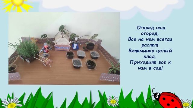 Проект Огород на окне_2023 год_ДС Морозко