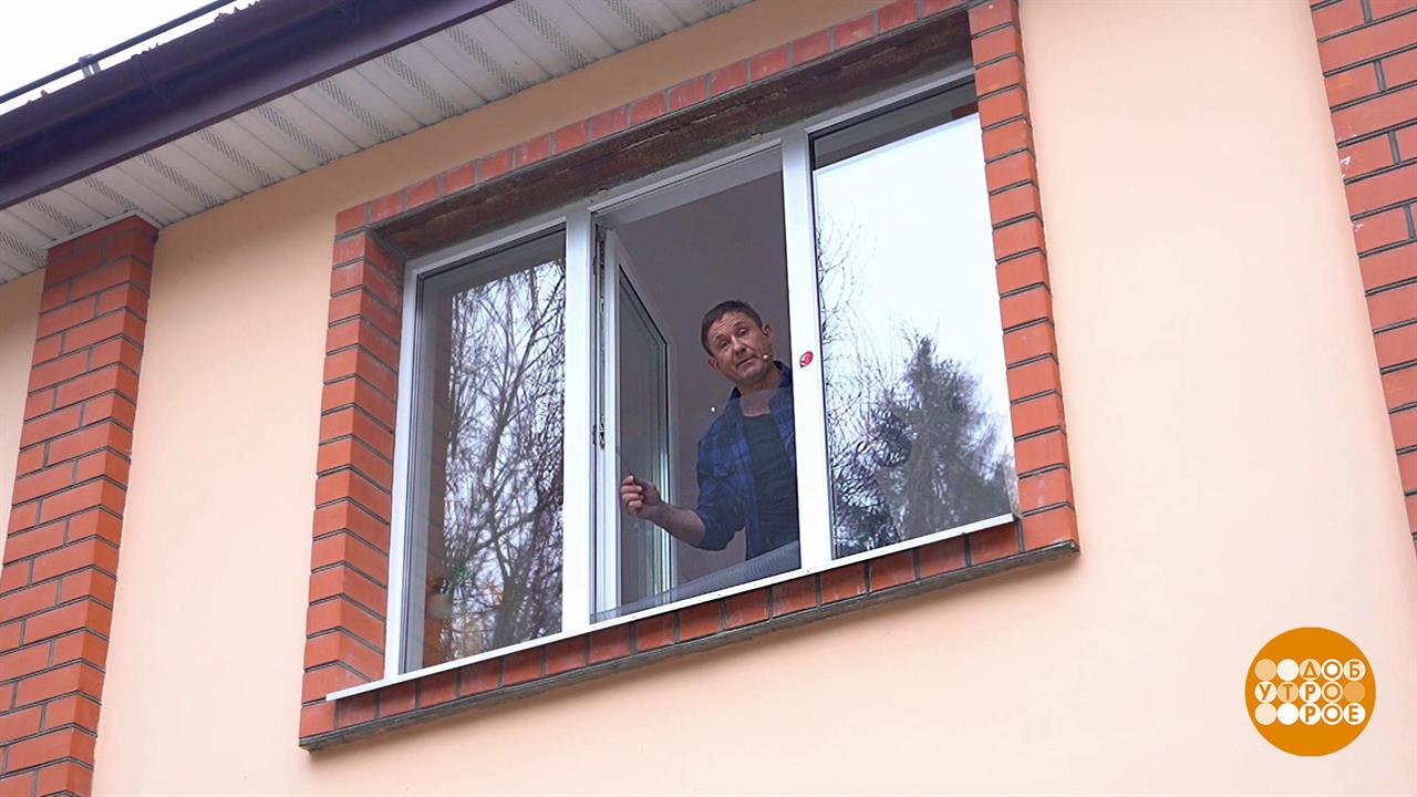 Дмитрий Талабуев и москитная сетка. Доброе утро. Фрагмент выпуска от 20.04.2023