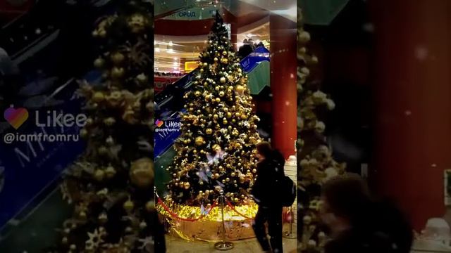 А вы ждёте НГ? #россия #новыйгод #елкановогодняя #рождествохристово #новыйгод #рек #рождество смотреть онлайн