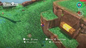 2 Player Mode in Super Mario Odyssey?