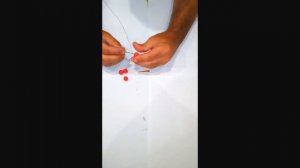 как насадить Бойл на крючок