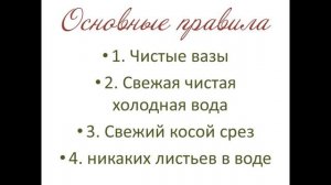 Основы Флористики. Урок 2. Хранение и обработка срезанных цветов.