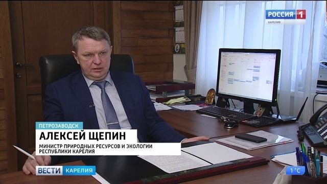 Расторгнут договор аренды с недобросовестными арендаторами лесных участков