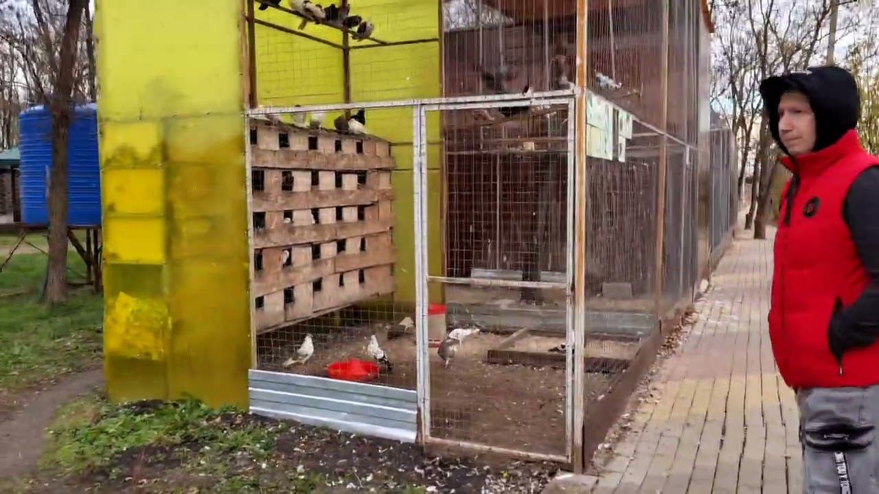 Термальные бассейны Жемчужина Кавказа в КЧР. Ноябрь 2022 смотреть онлайн