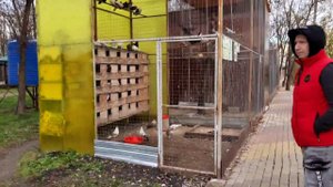 Термальные бассейны Жемчужина Кавказа в КЧР. Ноябрь 2022