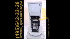 Обзор кулера для воды Ecotronic P9-LX Silver